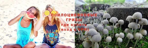 ПСИЛОЦИБИНОВЫЕ ГРИБЫ Нягань