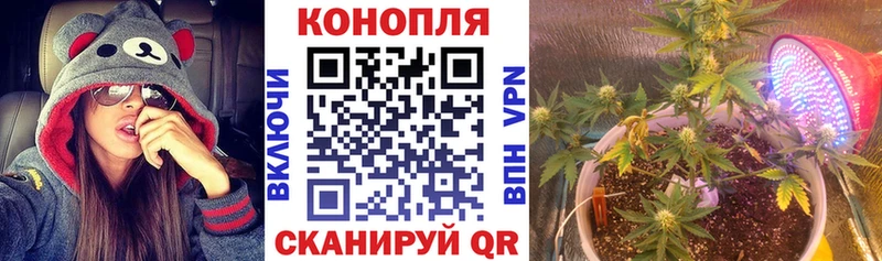 Канабис ГИДРОПОН Кашин